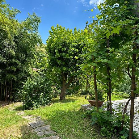 Secret Garden House Apartment Lovran Bagian luar foto