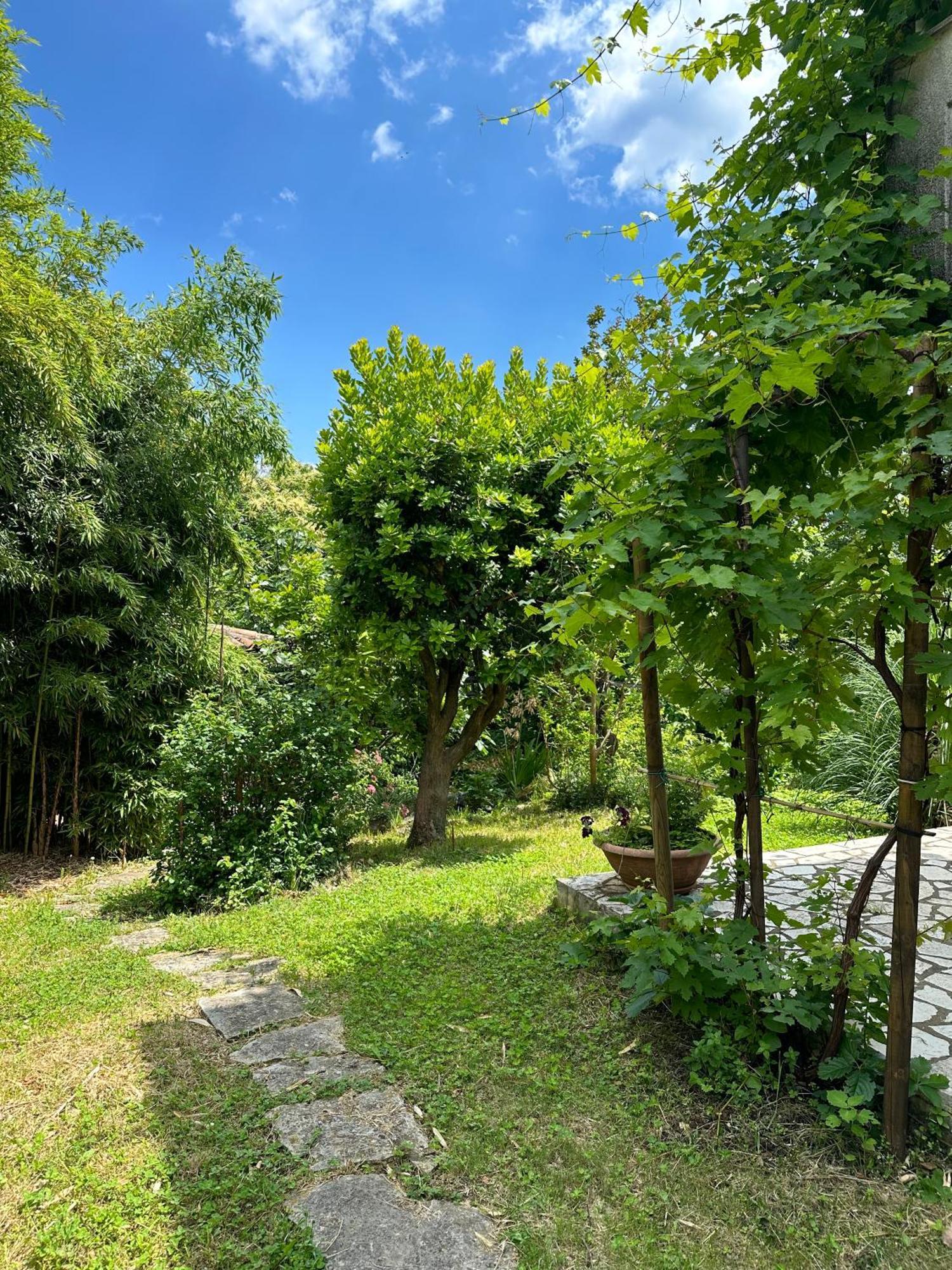 Secret Garden House Apartment Lovran Bagian luar foto